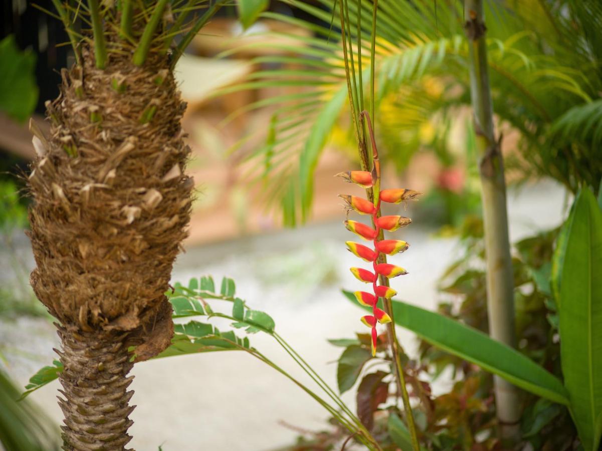 Appartamento Favela Chic Tamarindo - Adults Only Esterno foto